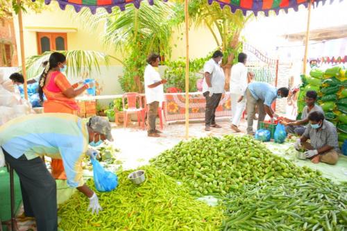 Packing-of-Vegetables